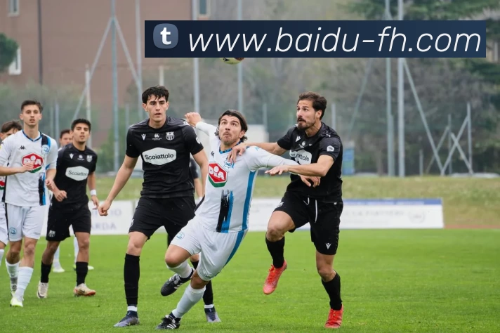 凤凰体育品牌故事